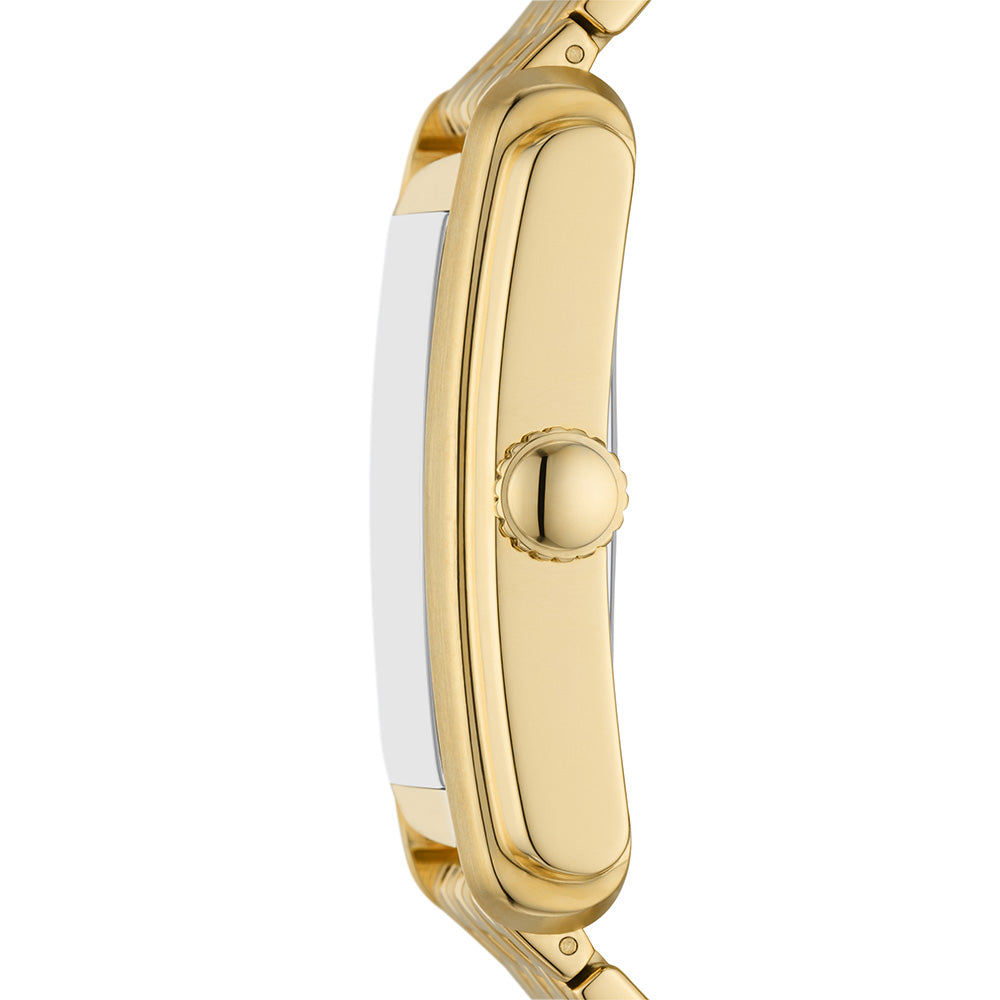 Fossil Carraway FS6009 All - Gold Luxury Men's/Women's Watch