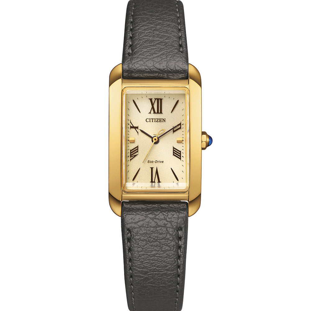 Citizen Men's Eco-Drive EW5622-09P Stainless Steel Gold-Plated Wristwatch