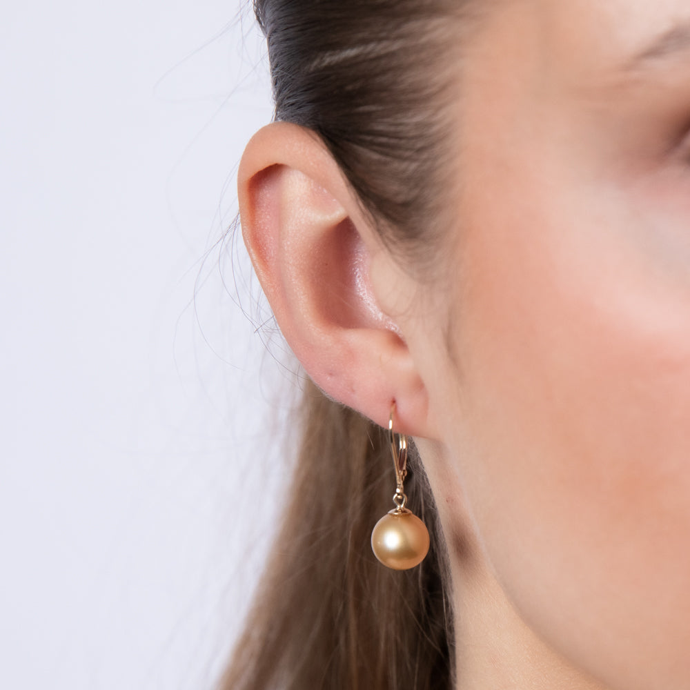 9ct Yellow Gold Earrings with 9 - 10mm Golden South Sea Pearl Drops