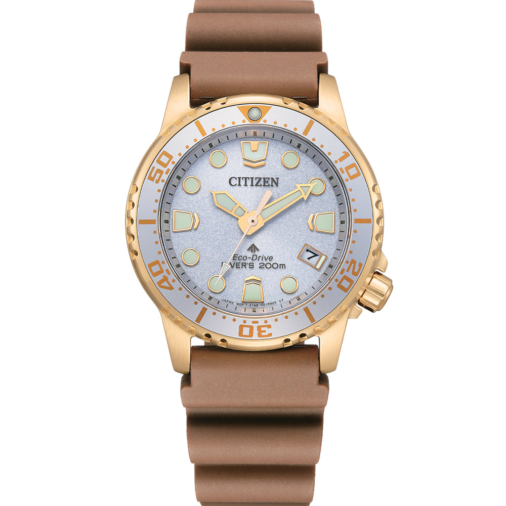 Citizen Promaster Marine Professional Diving Watch Model EO2022 - 02A